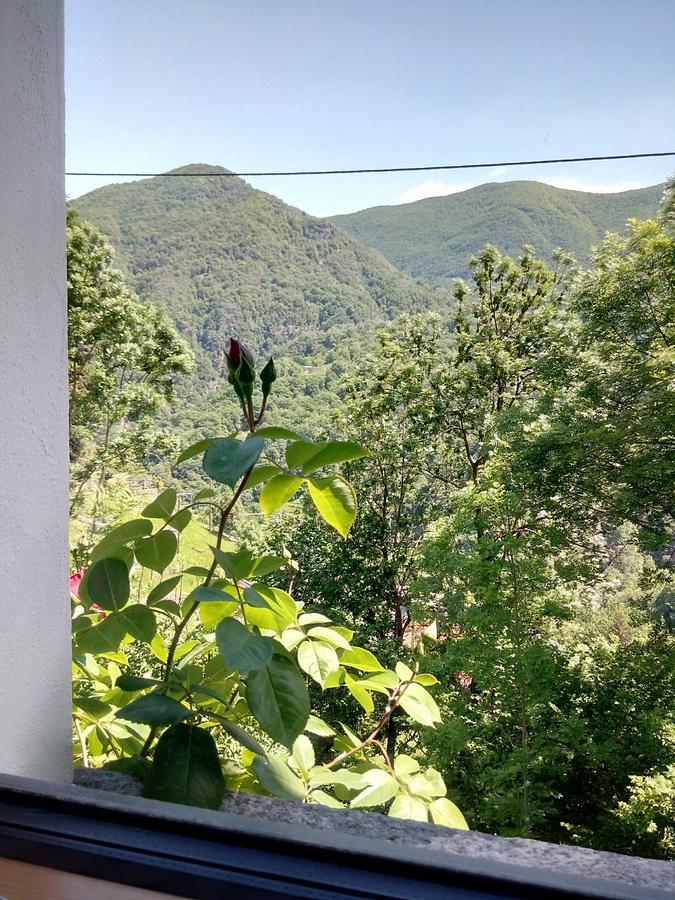 Rustico "Casa Di Sasso" Villa Intragna Buitenkant foto